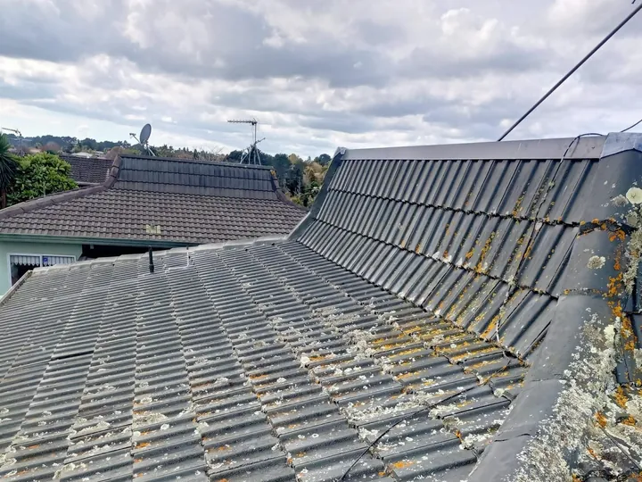 Concrete tile roof covered in lichen before cleaning
